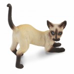 COLLECTA ������� ���� ��������� SMALL - (88332)