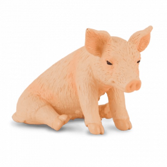 COLLECTA ���������� ��� ������� - (88345)