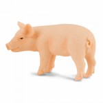 COLLECTA ���������� ����� SMALL - (88063)