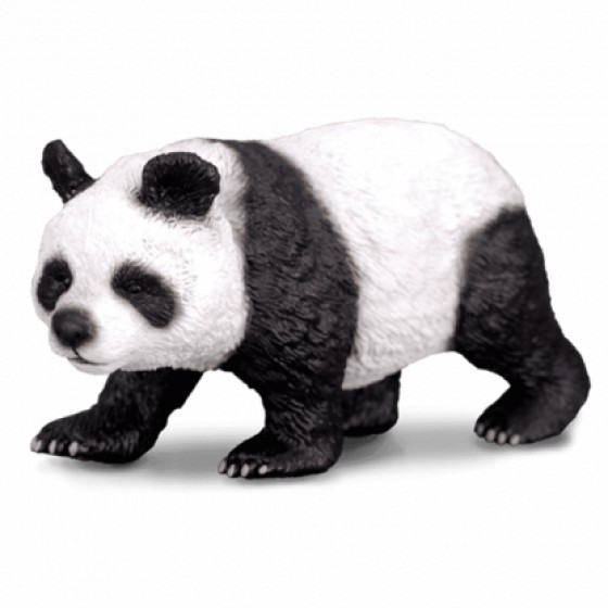COLLECTA ����� LARGE - (88166)