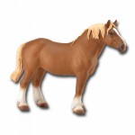 COLLECTA ������� ������ �������������� XLARGE - (88819)