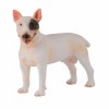 COLLECTA ����� ������ �������� MEDIUM - (88384)