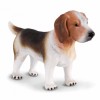 COLLECTA ������ MEDIUM - (88177)