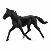 COLLECTA ���������� ������ ������ XLARGE - (88645)