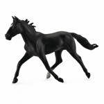 COLLECTA ���������� ������ ������ XLARGE - (88645)