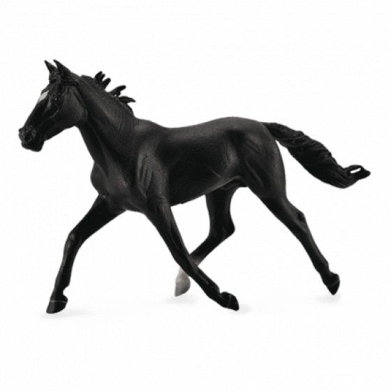 COLLECTA ���������� ������ ������ XLARGE - (88645)