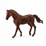 COLLECTA ������ ������� ��� ������ �������������� XLARGE - (88663)