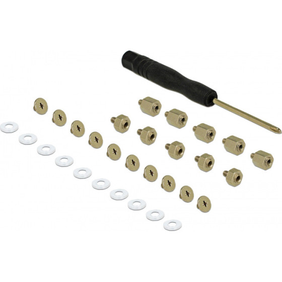 DELOCK MOUNTING KIT ��� M.2 SSD MODULE 31��� - (18288)
