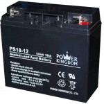 POWER KINGDOM �������� �������� - (PS18-12)
