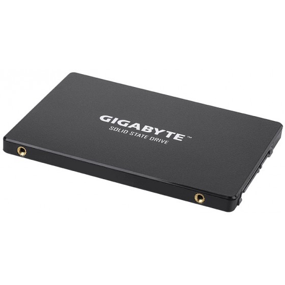GIGABYTE SSD 1TB SATA III - (GP-GSTFS31100TNTD)