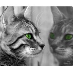 SPEEDLINK SILK MOUSEPAD CAT - (SL-6242-P09)