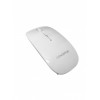 CONCEPTUM WM504WH 2.4G WIRELESS MOUSE WITH NANO RECEIVER WHITE