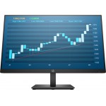 HP P244 MONITOR - (5QG35AA)