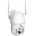 INNOTRONIK IP �������� ������ IPP-011 ��������� & �������� 1080P 12V