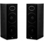 VOICE KRAFT ��� ������ STELLA 66 VK-C66 2 ������ 2X 50W RMS