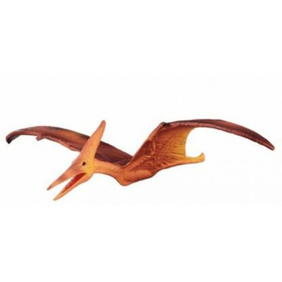 COLLECTA ������������� MEDIUM - (88039)