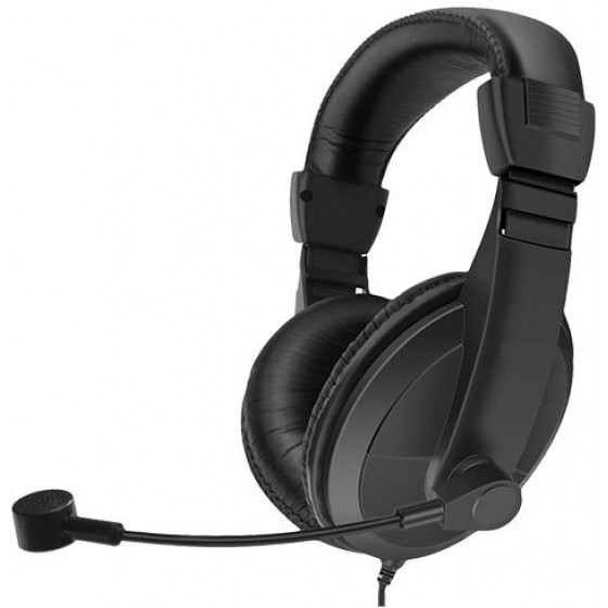 LAMTECH USB 2.0 STEREO HEADSET DELUXE WITH MIC - (LAM021394)