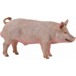 Collecta �������� �������� - (88864)