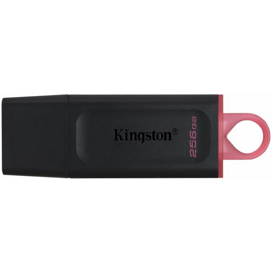 KINGSTON USB 3.2 FLASH 256GB - (DTX/256GB)