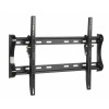 VIVANCO ���� TV �� ����� VESA 600 50KG - (37975)