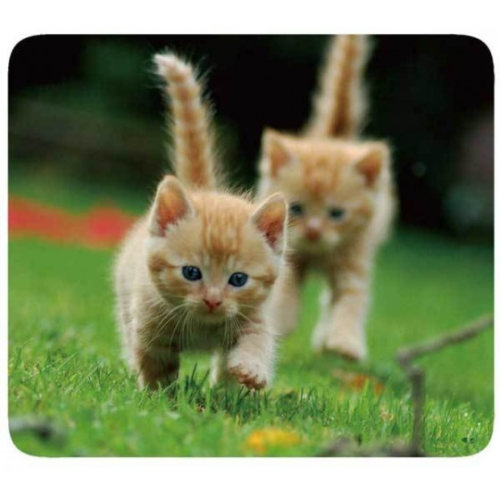 VIVANCO MOUSEPAD PETS 1 - (33872)