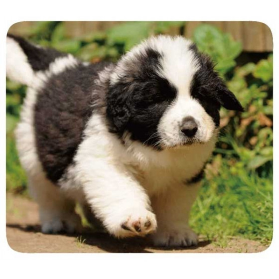 VIVANCO MOUSEPAD PETS 2 - (33872-02)