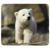VIVANCO MOUSEPAD PETS 4 - (33872-04)
