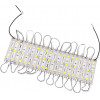GloboStar 20 ������� x LED Modules 3 x SMD 5050 0.8W 80lm DC 12V ��������� IP66 ����� ����� 6000K - (73701)