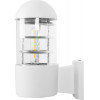 GloboStar NEWI �������� ��������� ������ ������ �������� ����� ��������� �11 x �17 x �23cm - (01418)