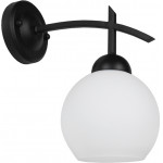 GloboStar �������� ��������� ������ ������ �������� ����� ��������� �� ����� ����� �15 ISEN - (01157)