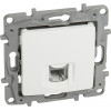 LEGRAND ����� RJ11 ����� - (764569)