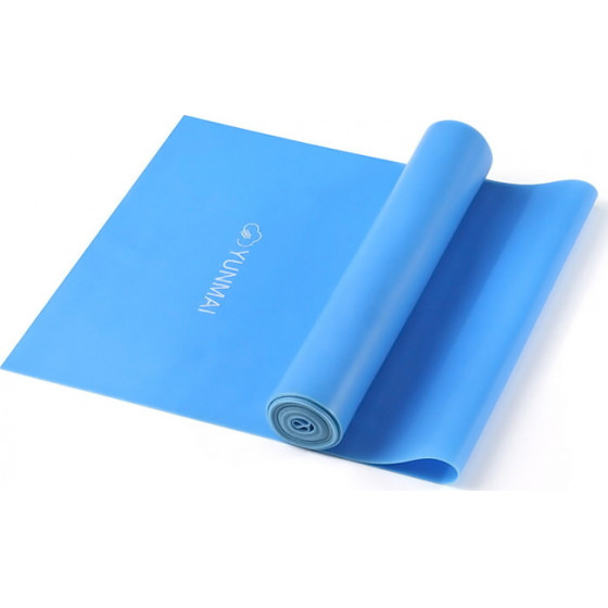 YUNMAI ������� ���������� 1500x150x0.45mm ���� - (YMTB-T401)