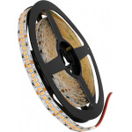 GloboStar ������ LED SMD 2835 5m 16W/m 240LED/m 1920lm/m 120� DC 24V IP20 ��� - 5 ������ ������� - (70247)