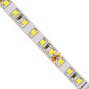 GloboStar ������ LED SMD 2835 5m 8W/m 120LED/m 1280 lm/m 120� DC 24V IP20 ����� ����� 6000K - 5 ������ ������� - (70230)