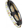 GloboStar ������ LED SMD 5730 5m 20W/m 60LED/m 2600lm/m 120� DC 12V IP20 ����� ����� 6000K - 5 ������ ������� - (70030)