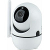 REALSAFE ������� ������ IP - (XM-3250)
