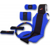 Auto GS �������������� ����������� Type R 6��� ��� ���� - (11067)