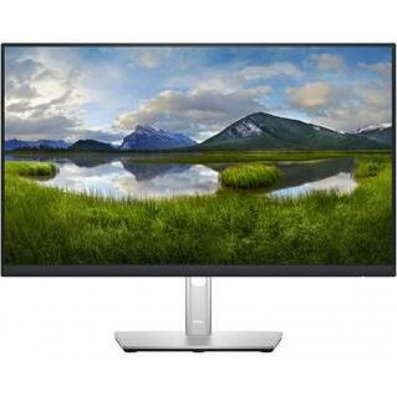 Dell 24inch P2422H - (210-AZYX)
