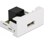 DeLock module USB �� RJ45 Easy 45 22.5x45mm ����� - (81344)