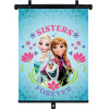 Amio ������������� ROLLER FROZEN (SISTERS FOREVER) 36x45cm - 1 ���. - (S9308)