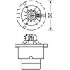 Lampa D2R 35W 12V 4300K ULTRA WHITE - (58322)