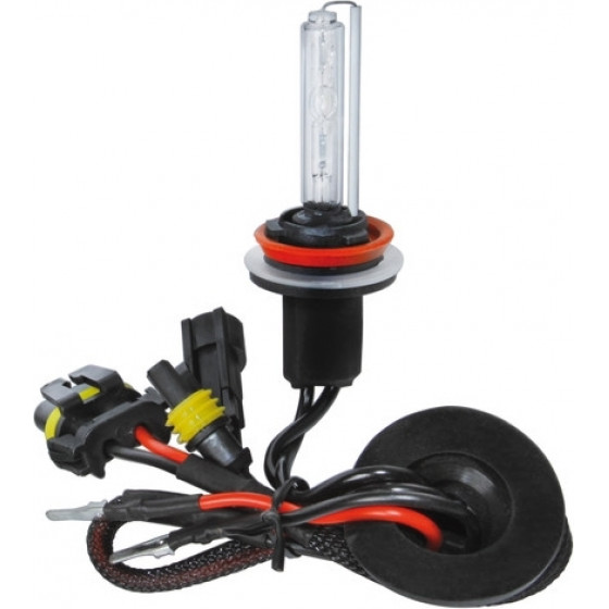 Lampa H8 8.000k 12/24V ����� ��� ��� XENON 1���. - (58304)