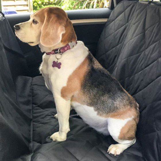 Handiworld ������� ���������� ��� ���������� - DOG SEAT COVER - (HWDSC)