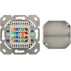 GOOBAY ��������� ����� CAT 6a 2x RJ45 80x80mm ����� - (68572)