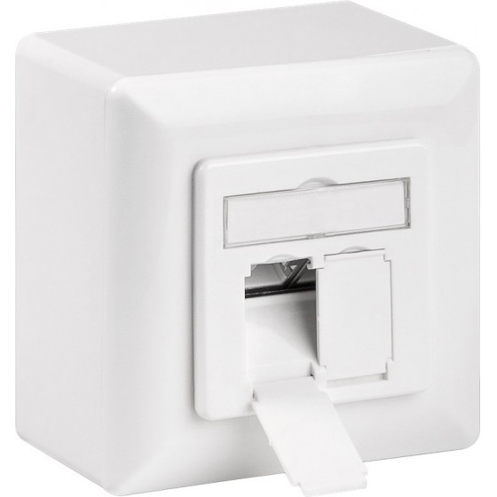GOOBAY ��������� ����� CAT 6a 2x RJ45 80x80mm ����� - (68572)