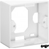 GOOBAY ��������� ����� CAT 6a 2x RJ45 80x80mm ����� - (68572)