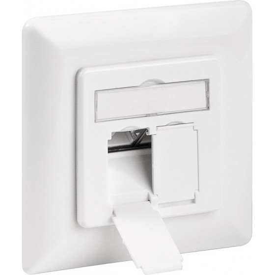 GOOBAY ��������� ����� CAT 6e 2x RJ45 80x80 ����� - (68246)