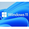 Microsoft Windows DSP 11 Pro 64-bit GR - (FQC-10535)