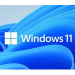 Microsoft Windows DSP 11 Pro 64-bit GR - (FQC-10535)