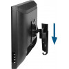 Arctic W1A - Monitor Wall Mount with Quick-Fix System VESA mount 13-43 - 20Kg - (ORAEQ-MA005-GB)